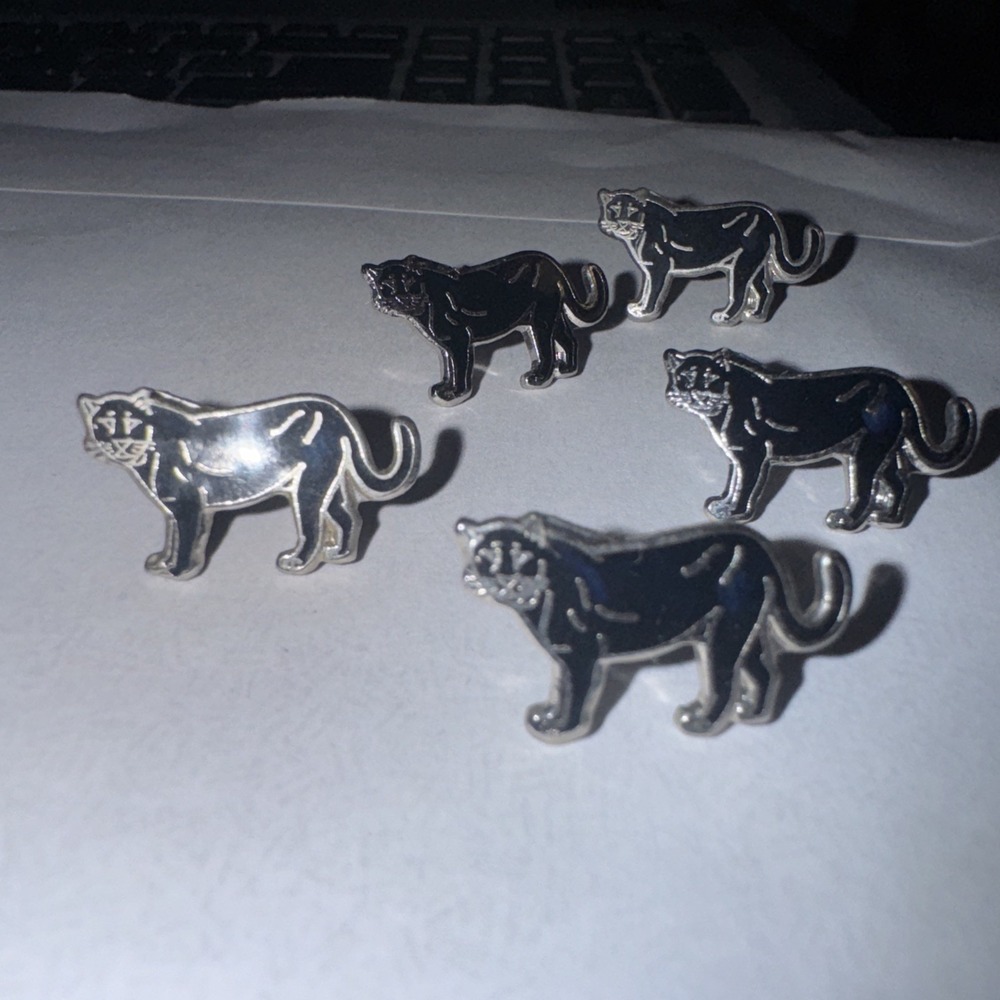 5pcs  Black Cat Cougar Feline Hat Coat Vest Pin Charms